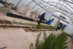 Understanding Indoor Farming - Plantlets 03